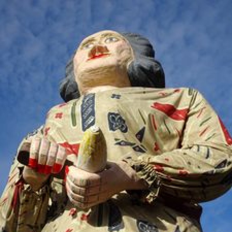 Wiske Witloof (3) - Heemkring Ter Ham Steenokkerzeel 